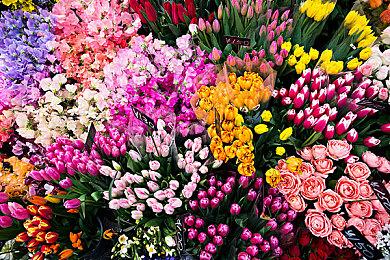 Epic喜加二：《遗忘国度之闲置冠军电脑版》、《红视2》免费